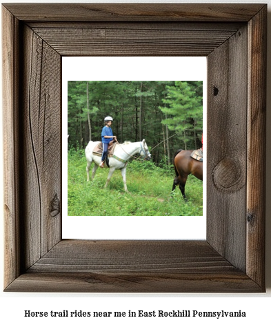 horse trail rides near me in East Rockhill, Pennsylvania